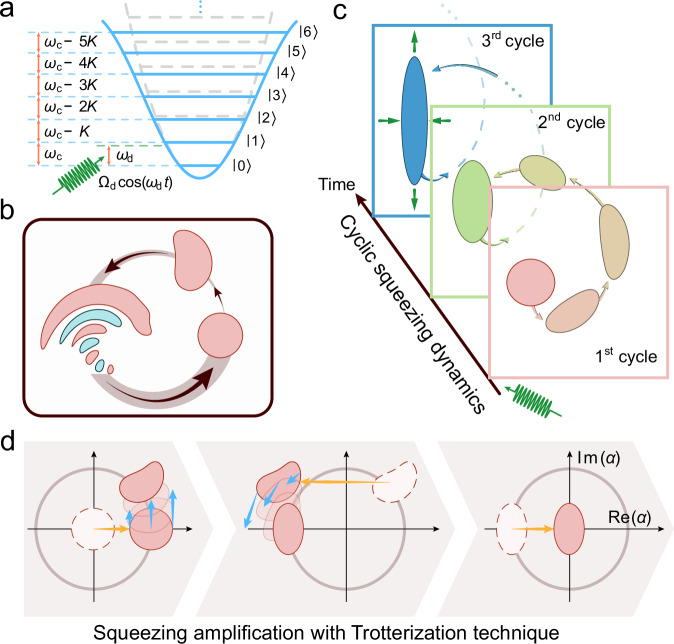 A figure from Quantum squeezing amplification with a weak Kerr nonlinear oscillator