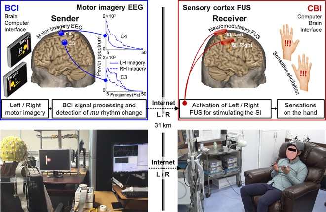 A figure from Non-invasive transmission of sensorimotor information in humans using an EEG/focused ultrasound brain-to-brain interface Hemispheric BBI in humans