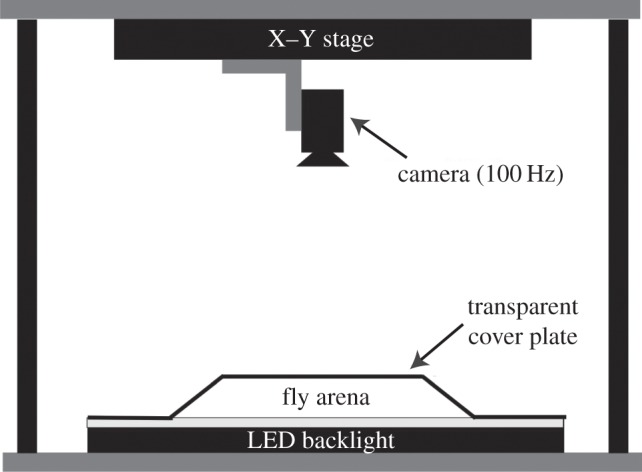 A figure from Mapping the stereotyped behaviour of freely moving fruit flies Mapping the stereotyped behaviour of freely moving fruit flies