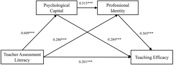 A figure from Teachers’ assessment literacy improves teaching efficacy: A view from conservation of resources theory