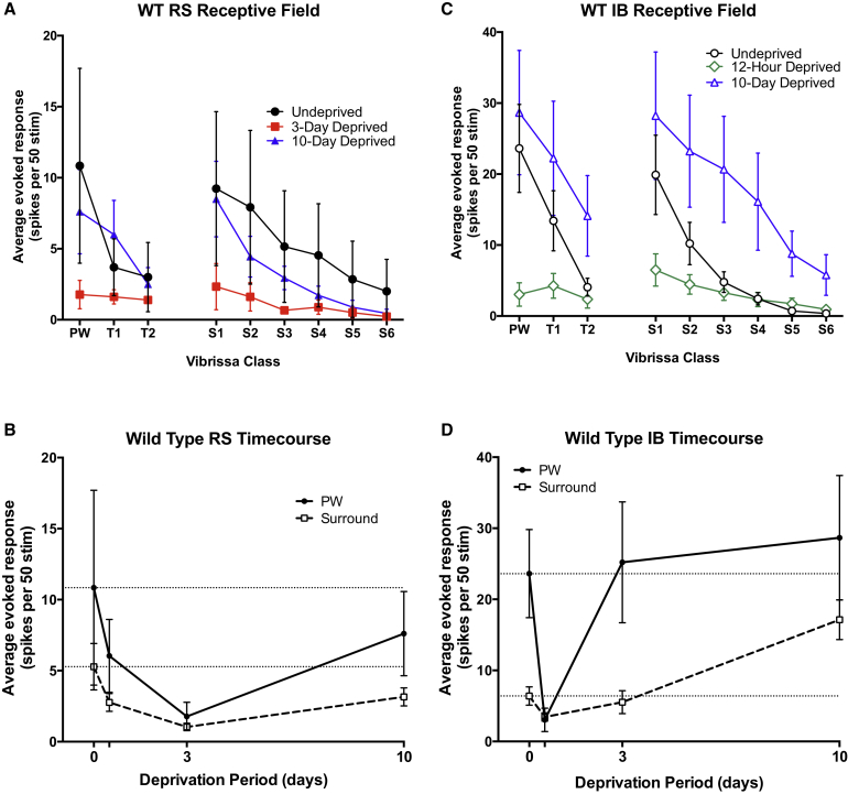 A figure from Hebbian and Homeostatic Plasticity Mechanisms in Regular Spiking and Intrinsic Bursting Cells of Cortical Layer 5