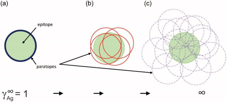 A figure from The Binding Landscape of Serum Antibodies: How Physical and Mathematical Concepts Can Advance Systems Immunology