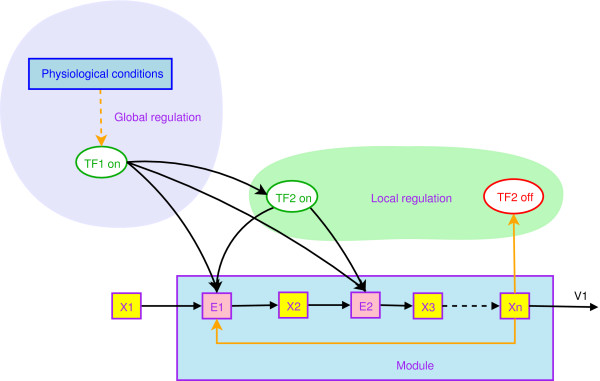 A figure from Reconstruction and analysis of the genetic and metabolic regulatory networks of the central metabolism of <i> Bacillus subtilis </i>
