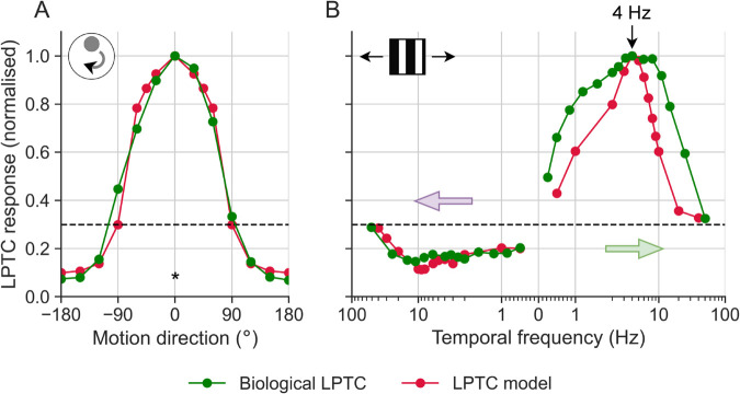 A figure from Understanding the mechanism of facilitation in hoverfly TSDNs Understanding the mechanism of facilitation in hoverfly TSDNs