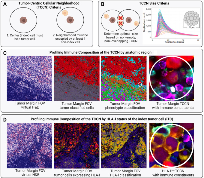 A figure from Resolving the Heterogeneous Tumor-Centric Cellular Neighborhood through Multiplexed, Spatial Paracrine Interactions in the Setting of Immune Checkpoint Blockade Multiplexed Analysis of the Tumor Immune Microenvironment