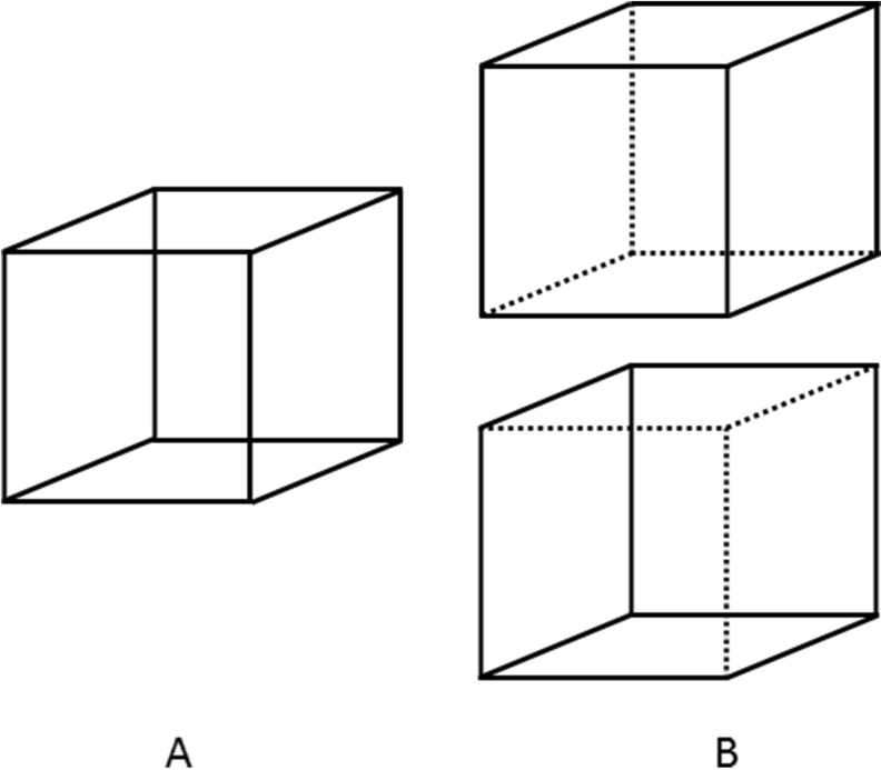 A figure from Left ventricular ejection fraction by real-time three-dimensional echocardiography The Necker cube for the naive realism of two-dimensional methods