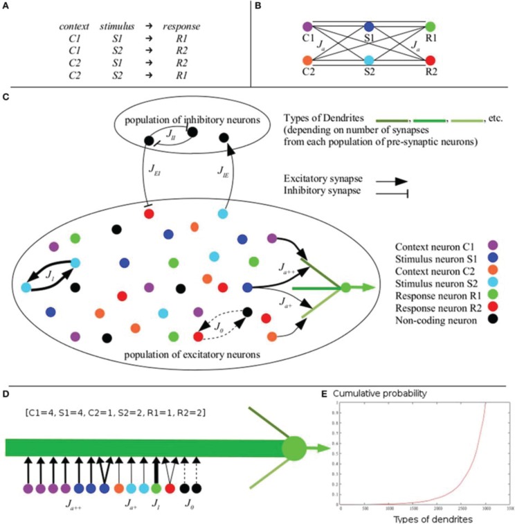 A figure from Inter-synaptic learning of combination rules in a cortical network model
