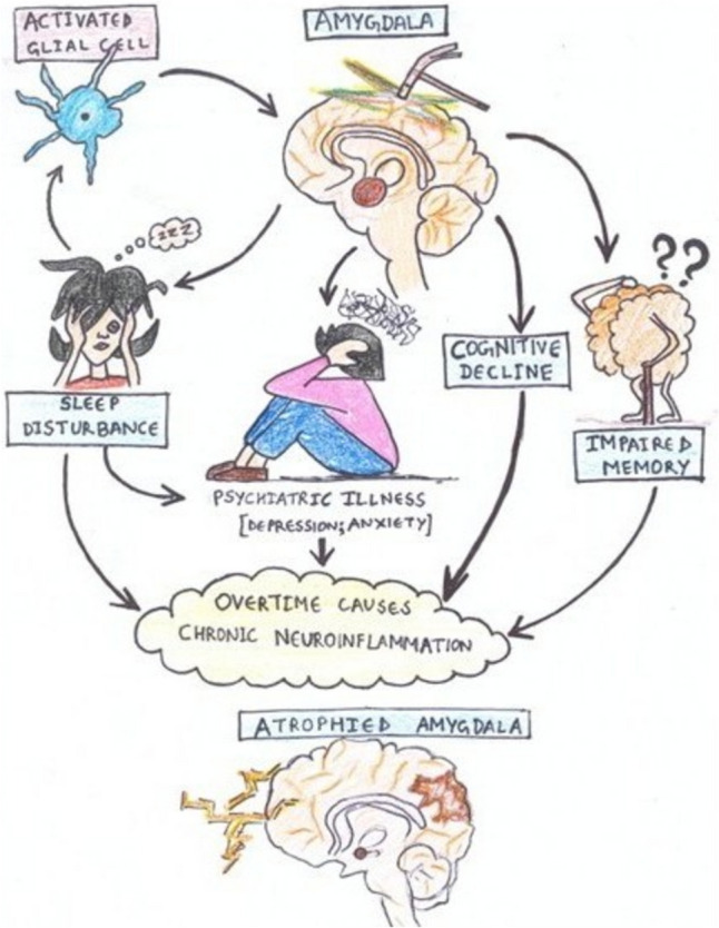 A figure from Implicating neuroinflammation in hippocampus, prefrontal cortex and amygdala with cognitive deficit: a narrative review