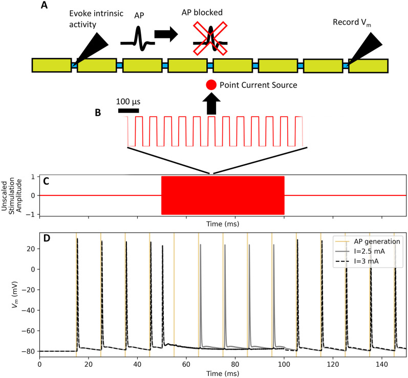 A figure from PyFibers: An open-source NEURON-Python package to simulate responses of model nerve fibers to electrical stimulation PyFibers: A Python package to simulate nerve fiber responses to electrical stimulation