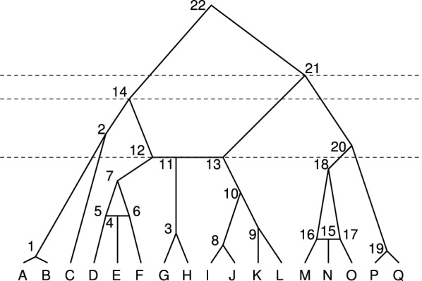 A figure from All galls are divided into three or more parts: recursive enumeration of labeled histories for galled trees