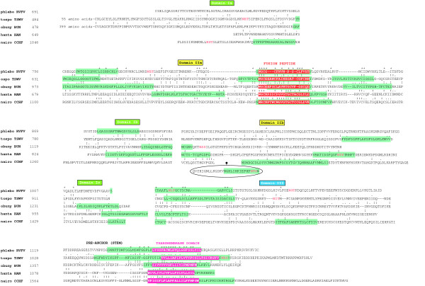 A figure from Proteomics computational analyses suggest that the carboxyl terminal glycoproteins of Bunyaviruses are class II viral fusion protein (beta-penetrenes)