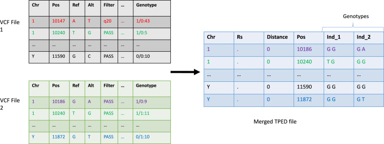 A figure from Optimized distributed systems achieve significant performance improvement on sorted merging of massive VCF files