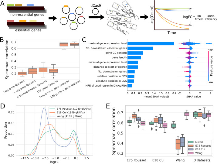 A figure from Improved prediction of bacterial CRISPRi guide efficiency from depletion screens through mixed-effect machine learning and data integration