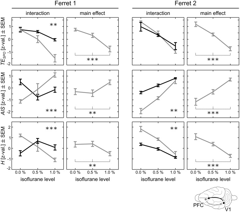 A figure from Breakdown of local information processing may underlie isoflurane anesthesia effects Breakdown of local information processing may underlie isoflurane anesthesia effects
