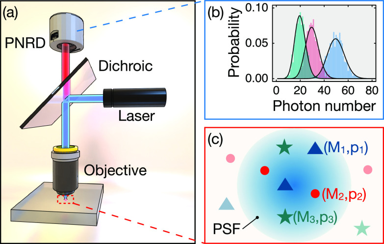 A figure from Estimation of the number of single-photon emitters for multiple fluorophores with the same spectral signature <b> Note: </b> This paper is part of the special issue on Quantum Systems Far From Equilibrium.