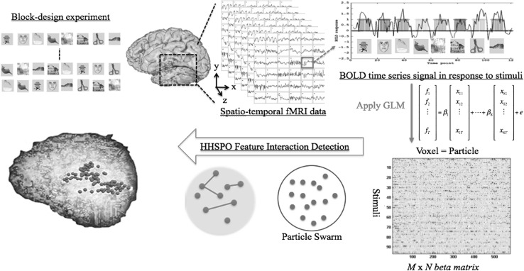 A figure from Brain response pattern identification of fMRI data using a particle swarm optimization-based approach
