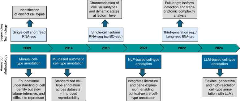 A figure from Advancing automated cell type annotation with large language models and single-cell isoform sequencing