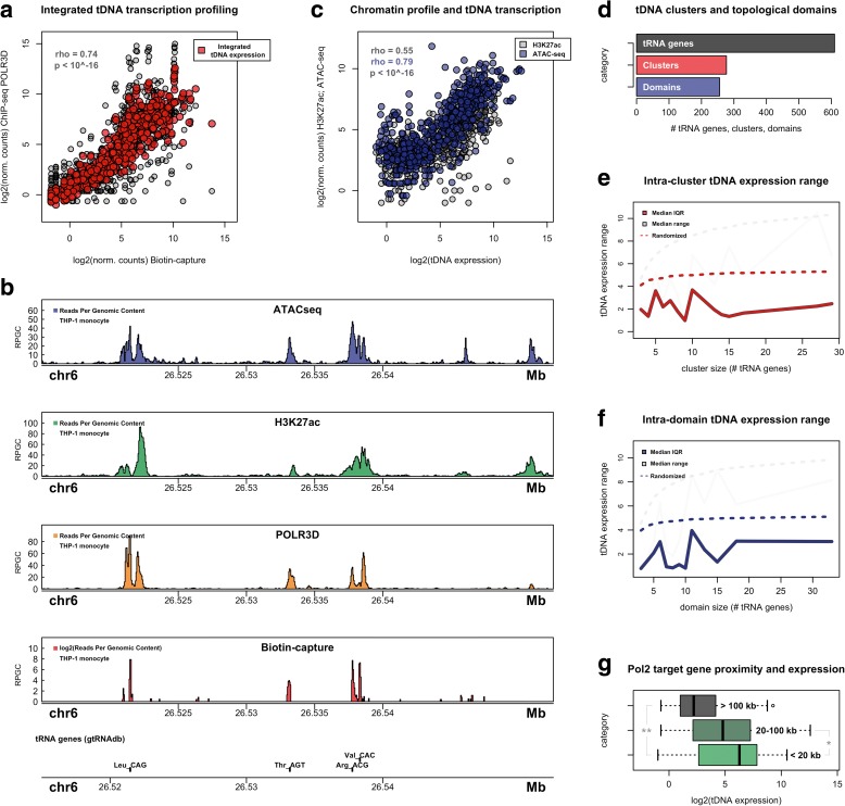 A figure from Topological organization and dynamic regulation of human tRNA genes during macrophage differentiation