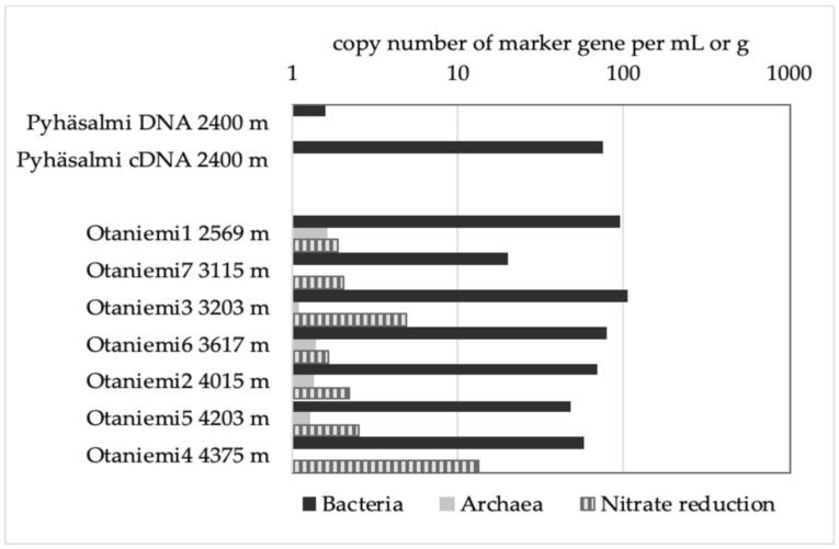 A figure from Ultradeep Microbial Communities at 4.4 km within Crystalline Bedrock: Implications for Habitability in a Planetary Context