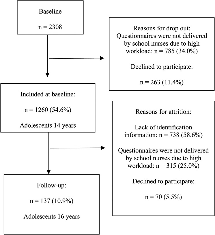 A figure from Longitudinal Study on Correlations Between Body Image, Physical Activity, and the Subjective Well-Being Among Adolescents Aged 14–16