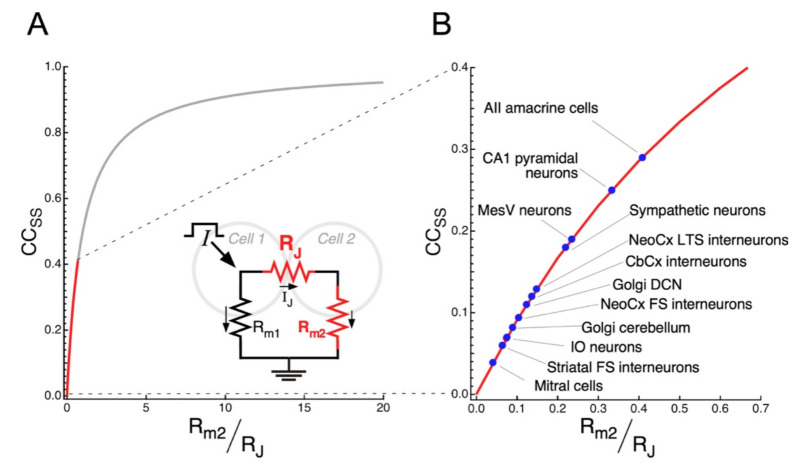 A figure from Function and Plasticity of Electrical Synapses in the Mammalian Brain: Role of Non-Junctional Mechanisms