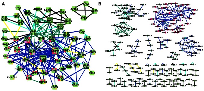 A figure from Interface-Resolved Network of Protein-Protein Interactions Interface Interaction Network of Proteins