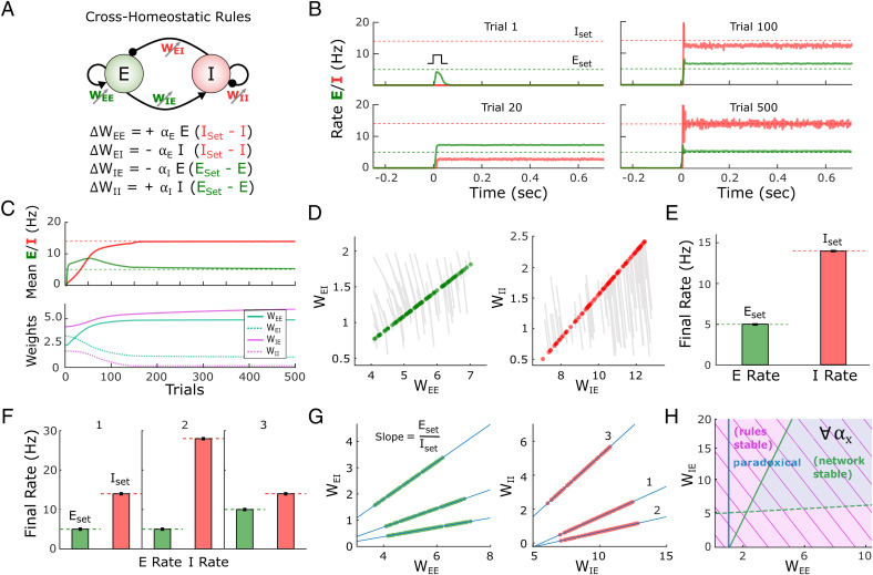 A figure from Paradoxical self-sustained dynamics emerge from orchestrated excitatory and inhibitory homeostatic plasticity rules