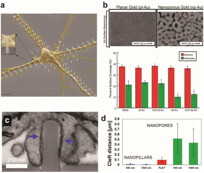 A figure from Streamlining the interface between electronics and neural systems for bidirectional electrochemical communication