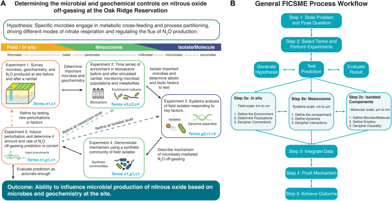 A figure from Mechanism Across Scales: A Holistic Modeling Framework Integrating Laboratory and Field Studies for Microbial Ecology