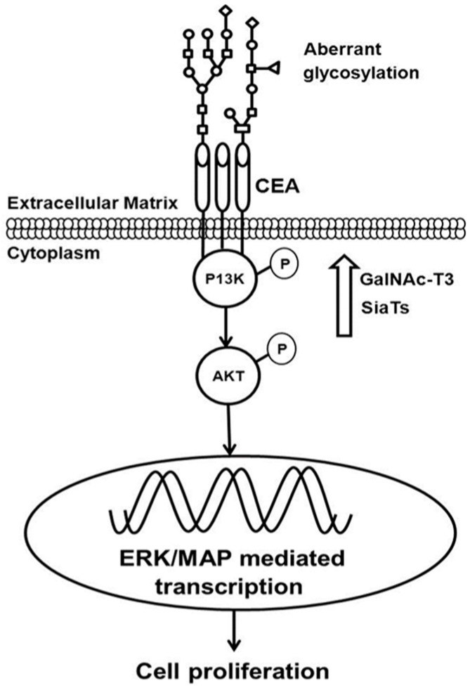 A figure from Comprehensive Analysis of Cancer-Proteogenome to Identify Biomarkers for the Early Diagnosis and Prognosis of Cancer
