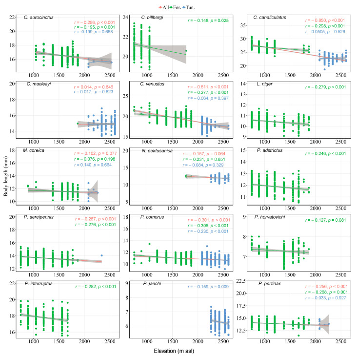 A figure from The Effect of Elevation Gradient on Distribution and Body Size of Carabid Beetles in the Changbaishan Nature Reserve in Northeast Asia