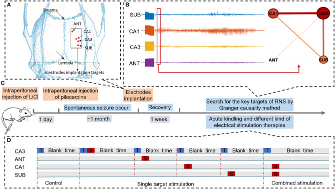 A figure from Combination of Matching Responsive Stimulations of Hippocampus and Subiculum for Effective Seizure Suppression in Temporal Lobe Epilepsy