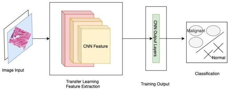 A figure from ABCanDroid: A Cloud Integrated Android App for Noninvasive Early Breast Cancer Detection Using Transfer Learning