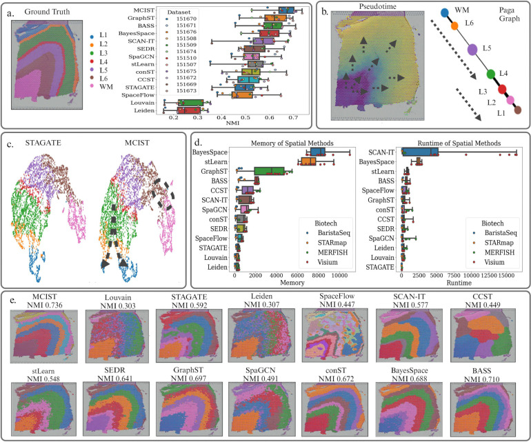 A figure from Multiscale Cell-Cell Interactive Spatial Transcriptomics Analysis