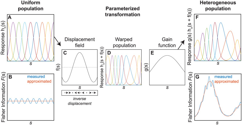 A figure from Efficient sensory coding of multidimensional stimuli Efficient sensory coding of multidimensional stimuli