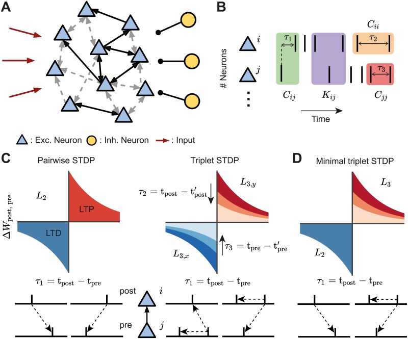 A figure from Autonomous emergence of connectivity assemblies via spike triplet interactions Autonomous emergence of connectivity assemblies via spike triplet interactions