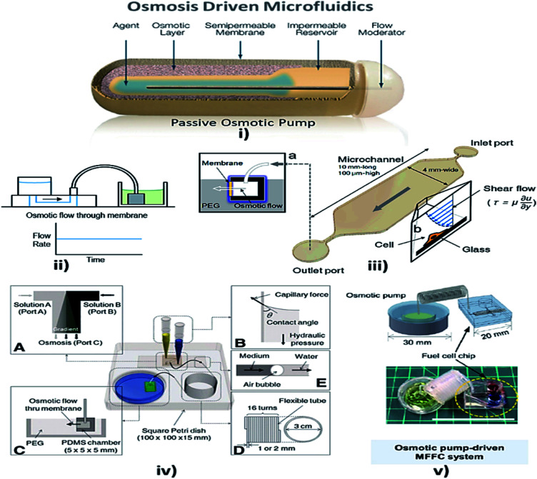 A figure from Advances in passively driven microfluidics and lab-on-chip devices: a comprehensive literature review and patent analysis