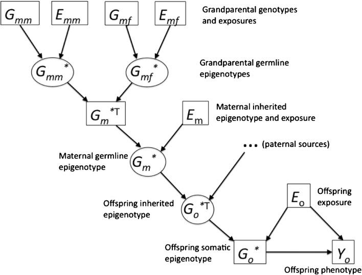 A figure from Environmental epigenetics: prospects for studying epigenetic mediation of exposure–response relationships
