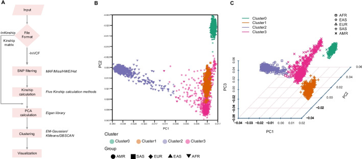 A figure from VCF2PCACluster: a simple, fast and memory-efficient tool for principal component analysis of tens of millions of SNPs