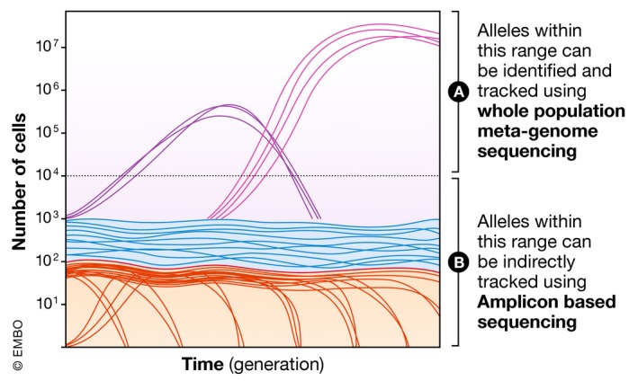 A figure from Microbial Experimental Evolution – a proving ground for evolutionary theory and a tool for discovery Michael J McDonald