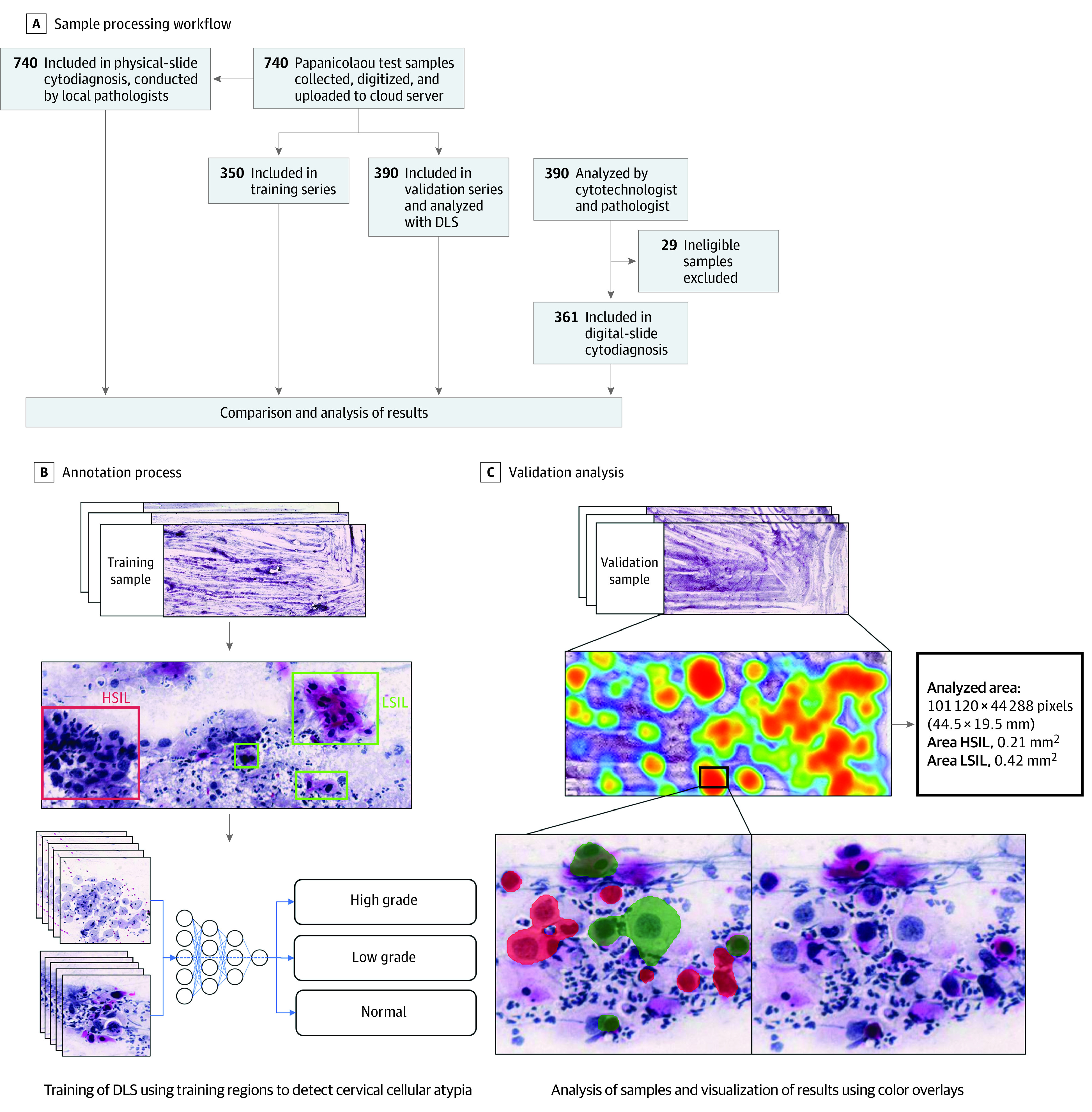 A figure from Point-of-Care Digital Cytology With Artificial Intelligence for Cervical Cancer Screening in a Resource-Limited Setting Digital Cytology for Cervical Cancer Screening in Resource-Limited Setting Digital Cytology for Cervical Cancer Screening in Resource-Limited Setting