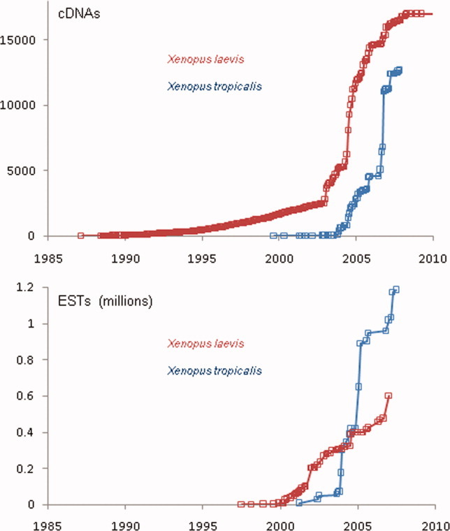 A figure from From expression cloning to gene modeling: The development of <i> Xenopus </i> gene sequence resources