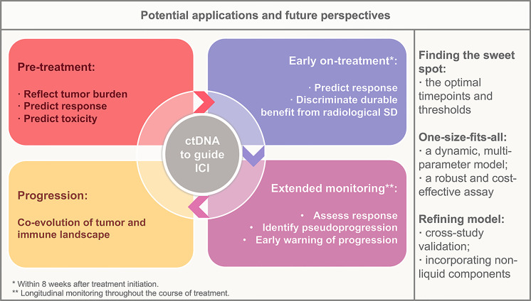 A figure from Applications of Circulating Tumor DNA in Immune Checkpoint Inhibition: Emerging Roles and Future Perspectives