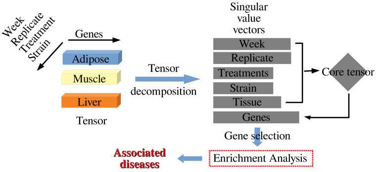 A figure from Integrated Analysis of Tissue-Specific Gene Expression in Diabetes by Tensor Decomposition Can Identify Possible Associated Diseases