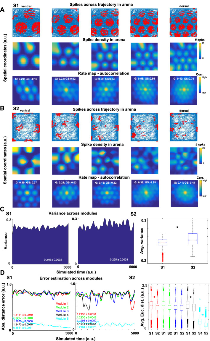 A figure from Place cells dynamically refine grid cell activities to reduce error accumulation during path integration in a continuous attractor model