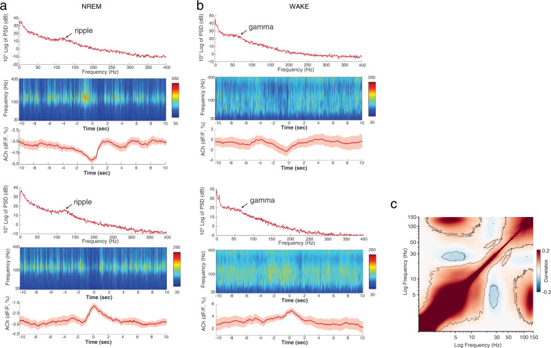 A figure from A consensus statement on detection of hippocampal sharp wave ripples and differentiation from other fast oscillations